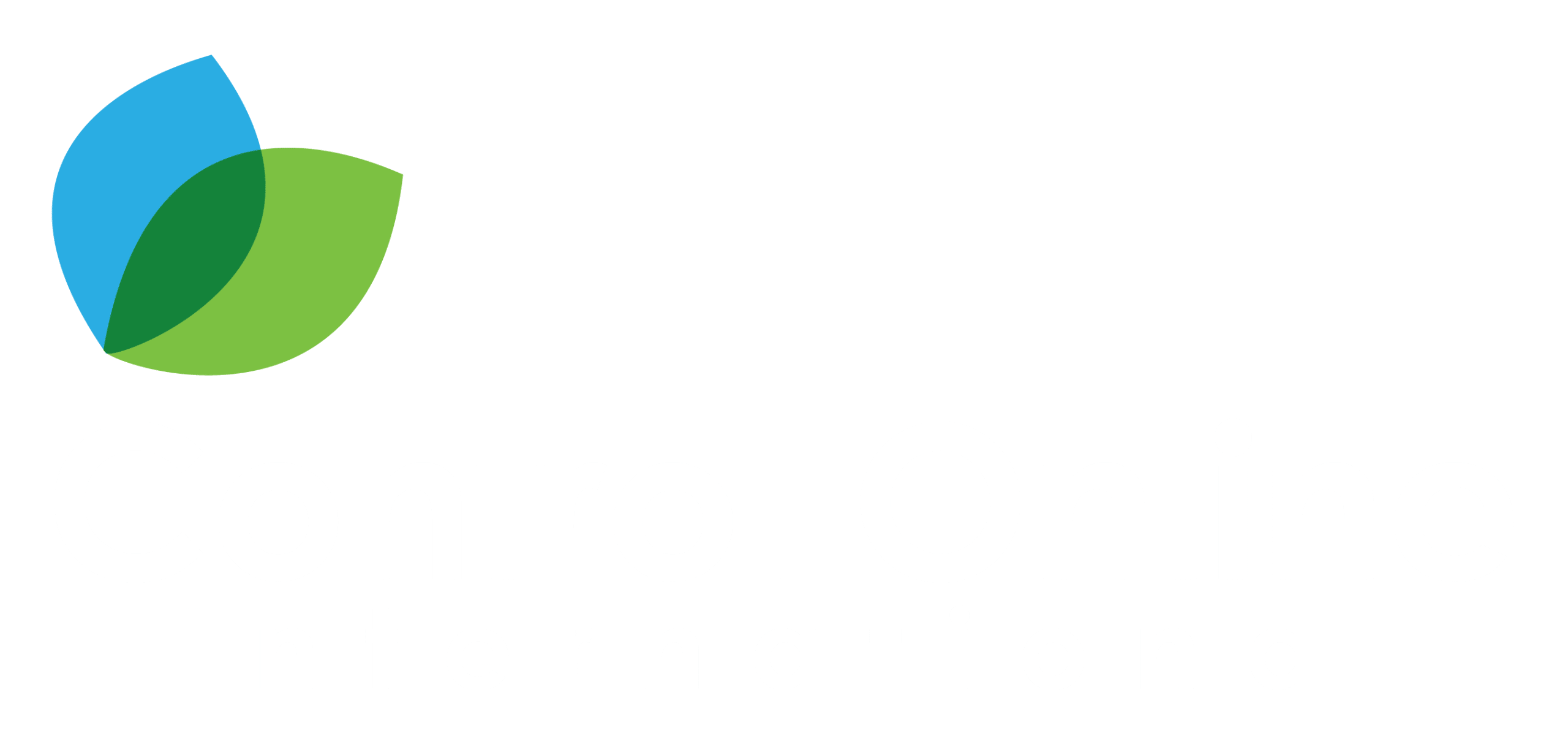 Control online international