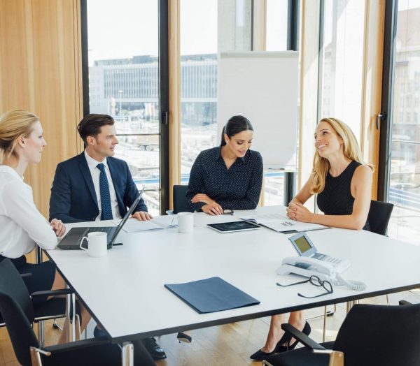 Business meeting in conference room