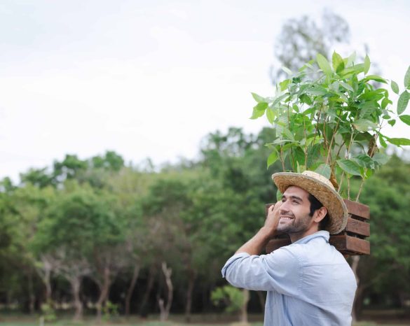 Farmers prepare for tree planting.Long-Term Commitment concept.